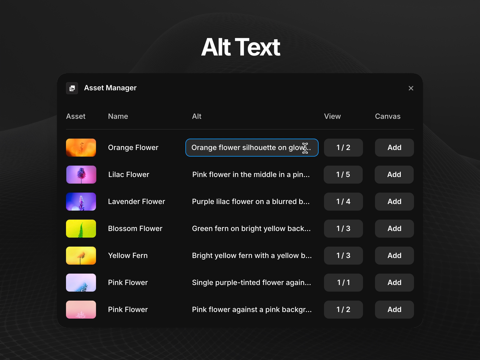 Screenshot 2 for Asset Manager, a Framer Marketplace plugin by Sakibul Islam.