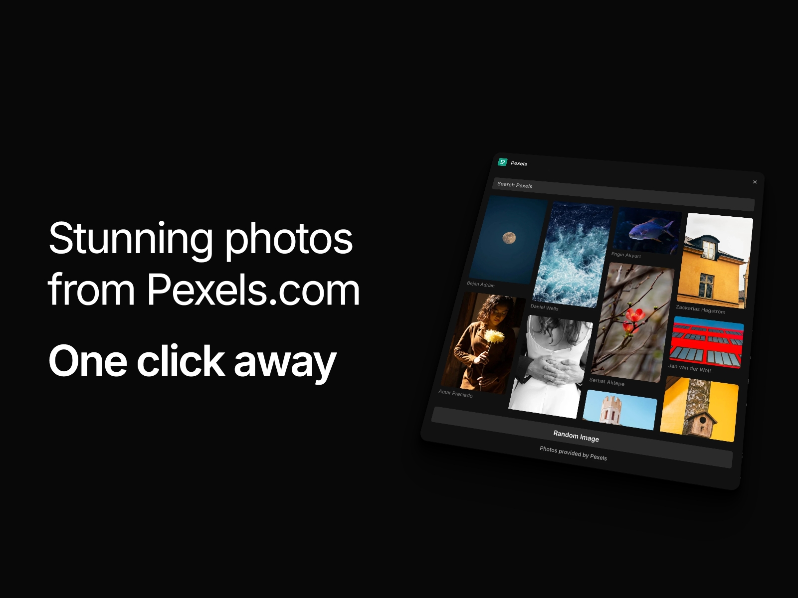 Thumbnail 2 for Pexels, a Framer Marketplace plugin by Ludovic Losco.