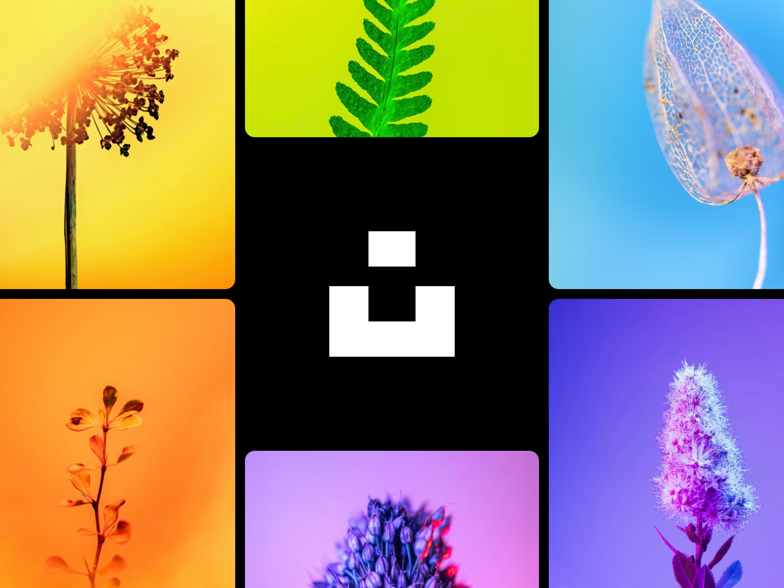 Thumbnail 1 for Unsplash, a Framer Marketplace template by Framer.