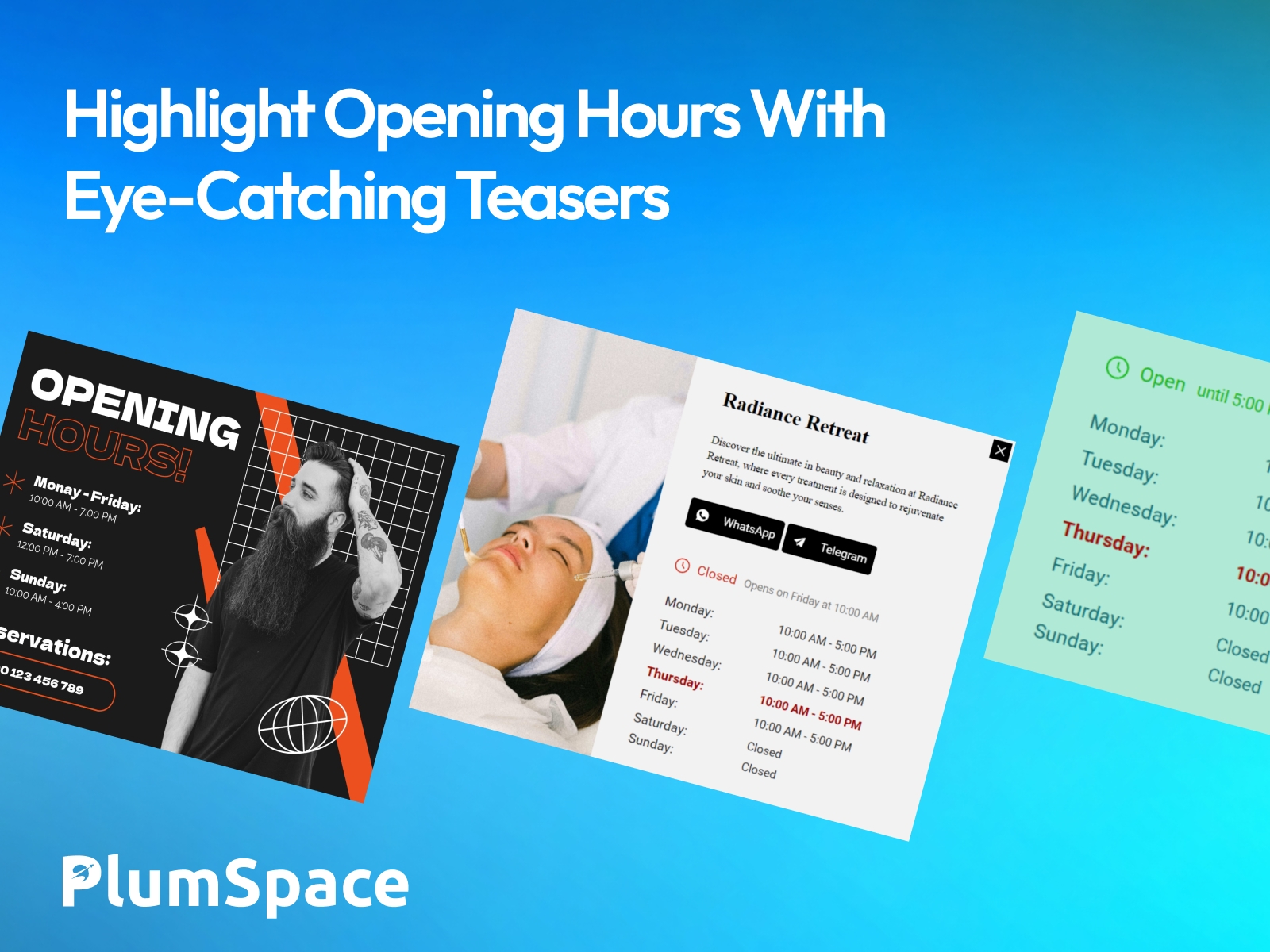Screenshot 3 for PlumSpace: Business Opening Hours, a Framer Marketplace plugin by PlumSpace.