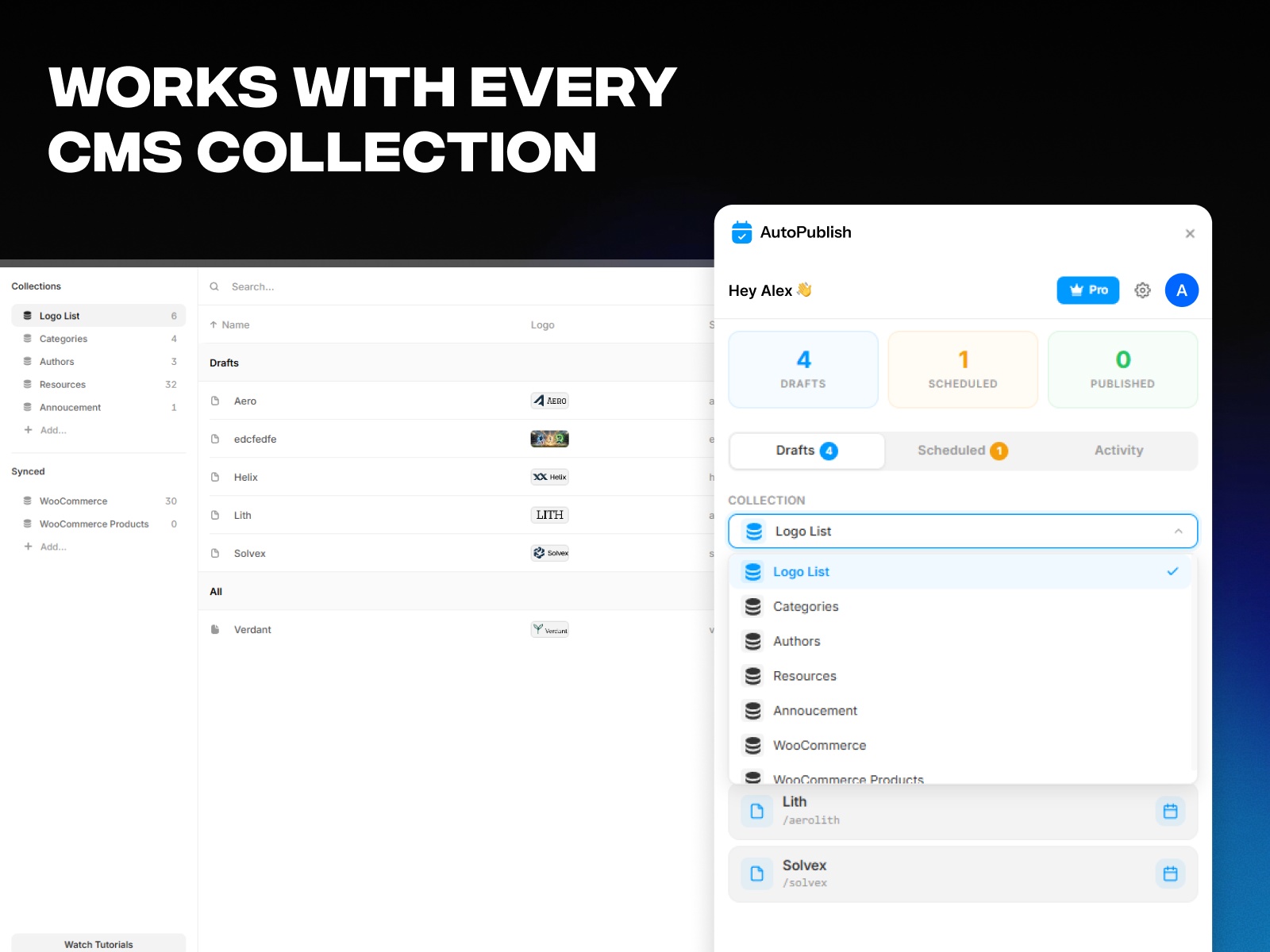 Screenshot 3 for Auto Publish, a Framer Marketplace plugin by Framer Geeks.