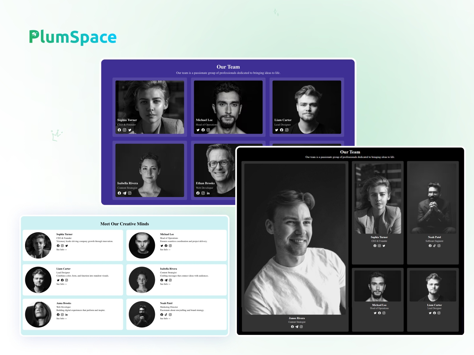 Thumbnail 1 for PlumSpace: Team Members, a Framer Marketplace template by PlumSpace.