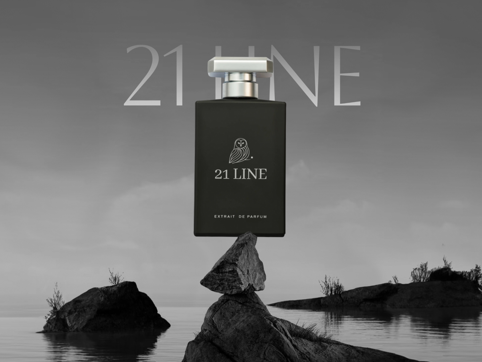 Thumbnail for 21line.de/, a Framer Experts site by FTC Studio.