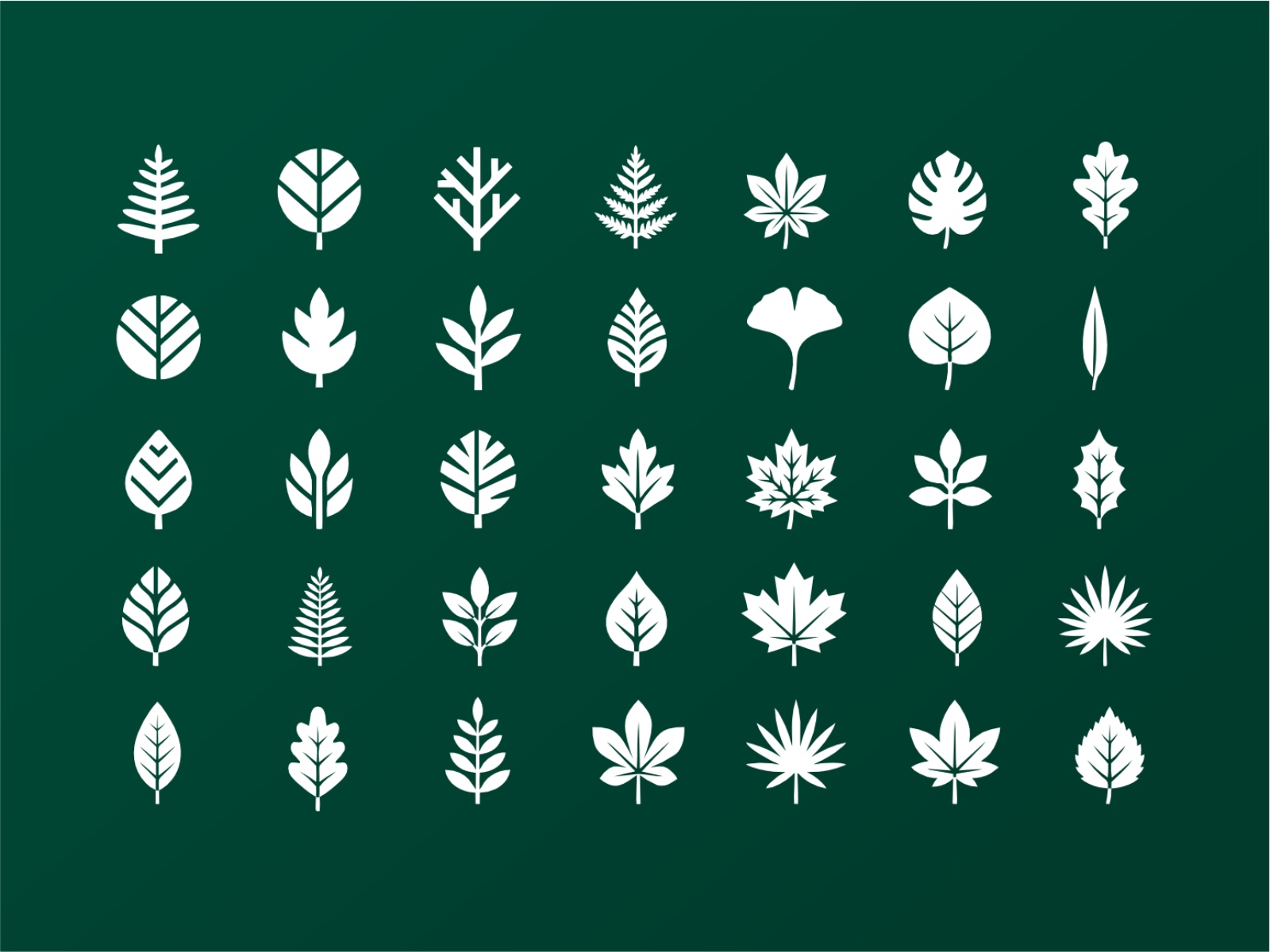 Leaf Shapes