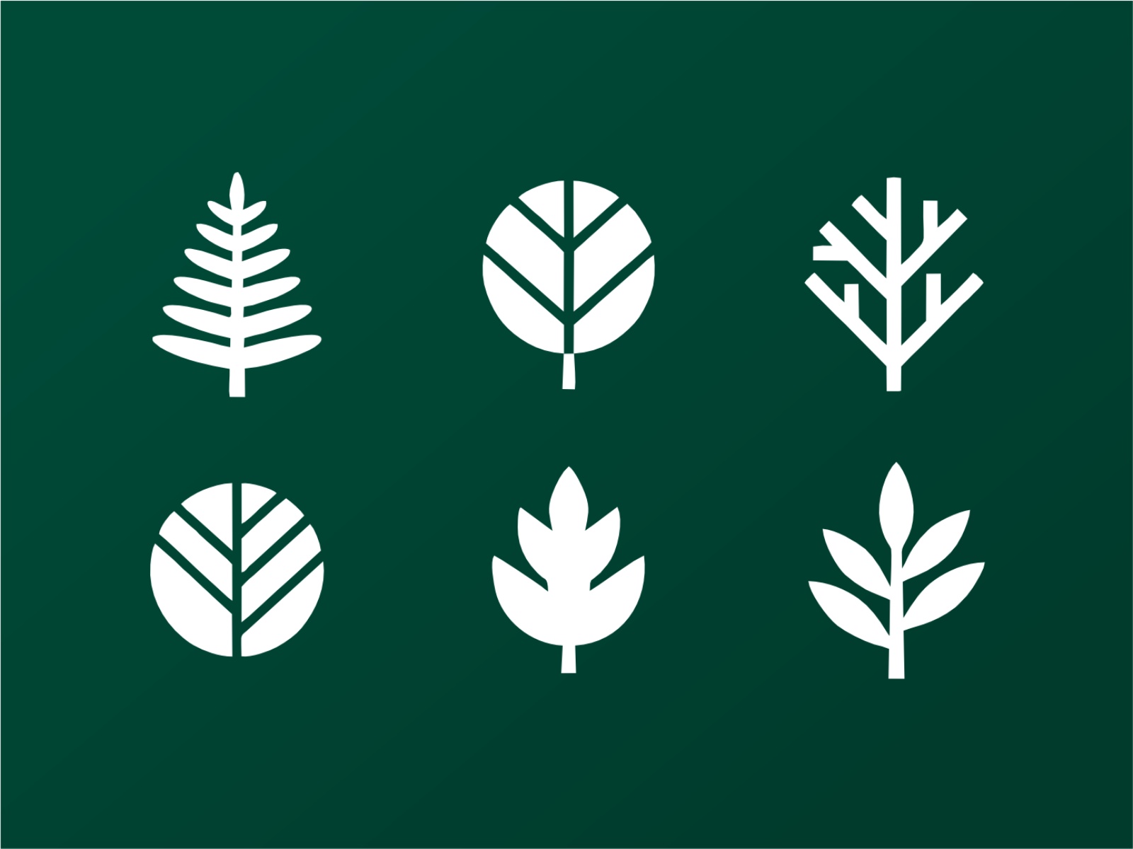 Leaf Shapes