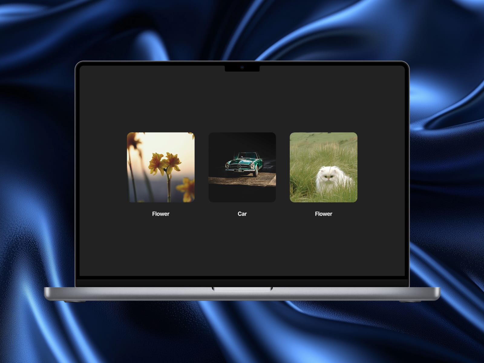 Image & Video Lightbox Gallery
