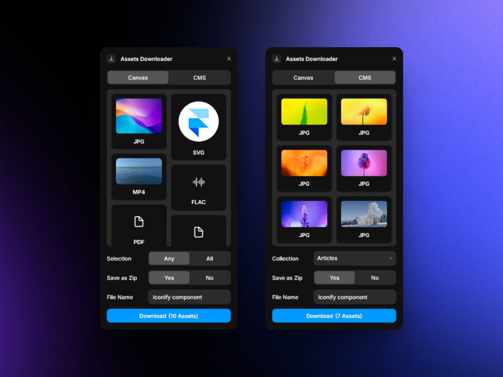 Assets Downloader