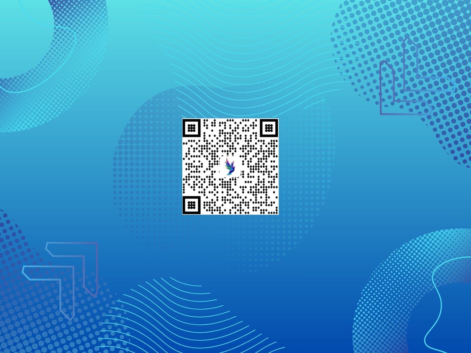 SnapQR