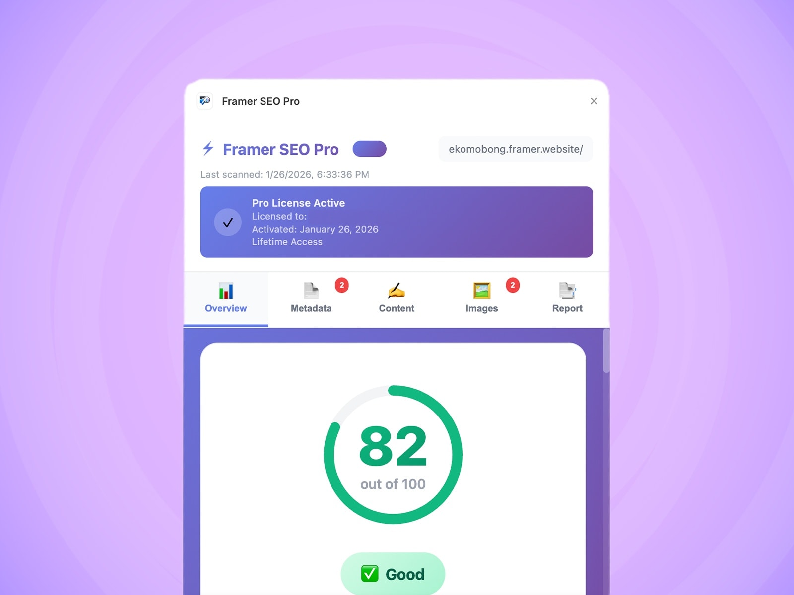 Framer SEO Pro