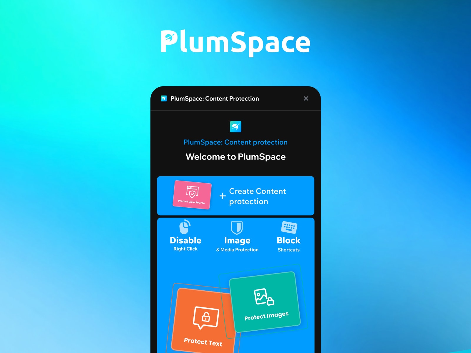 PlumSpace: Content Protection