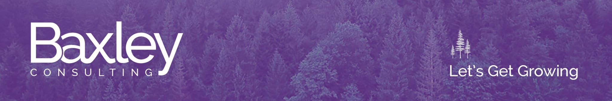 Baxley Consulting