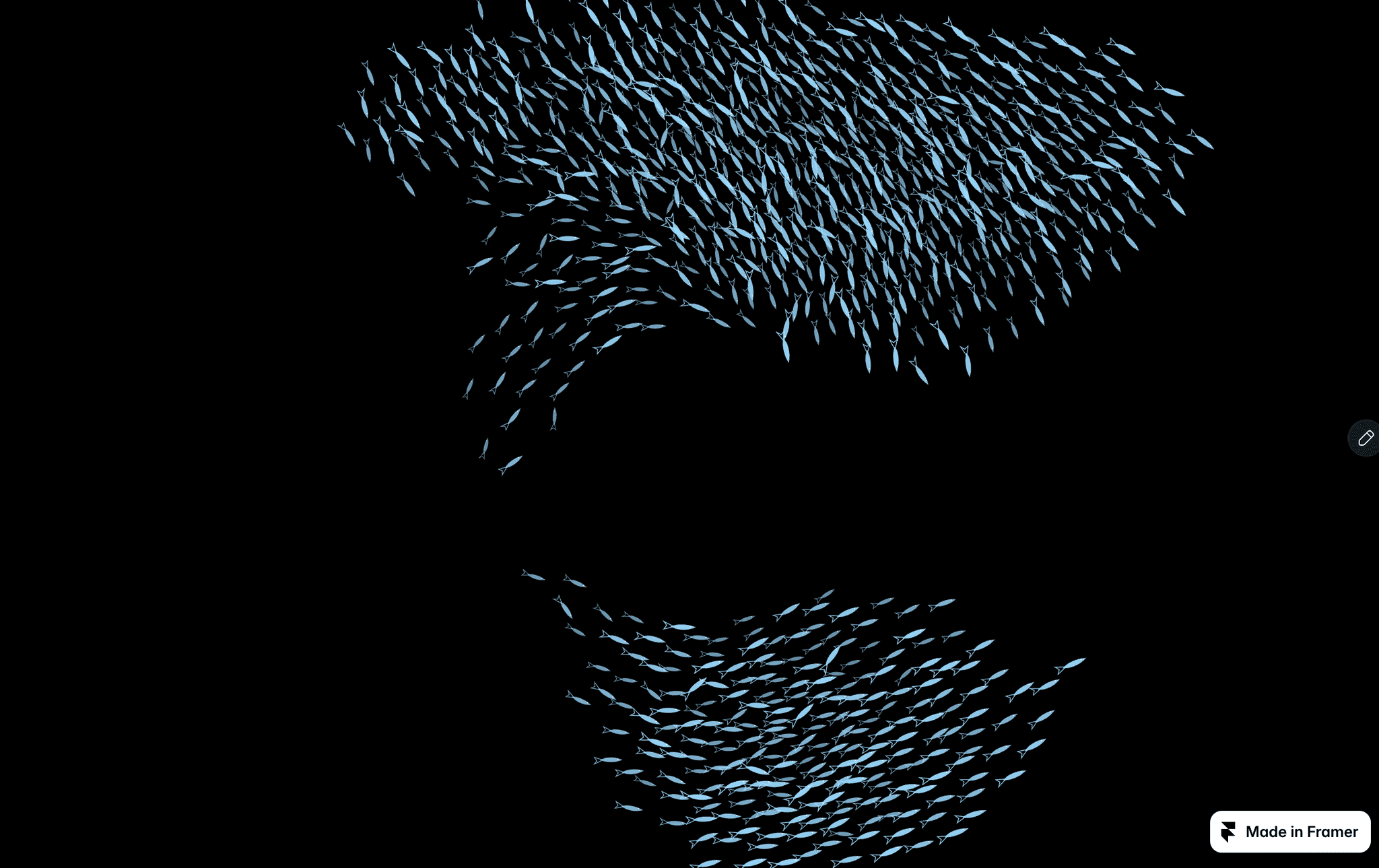 Schooling Fish