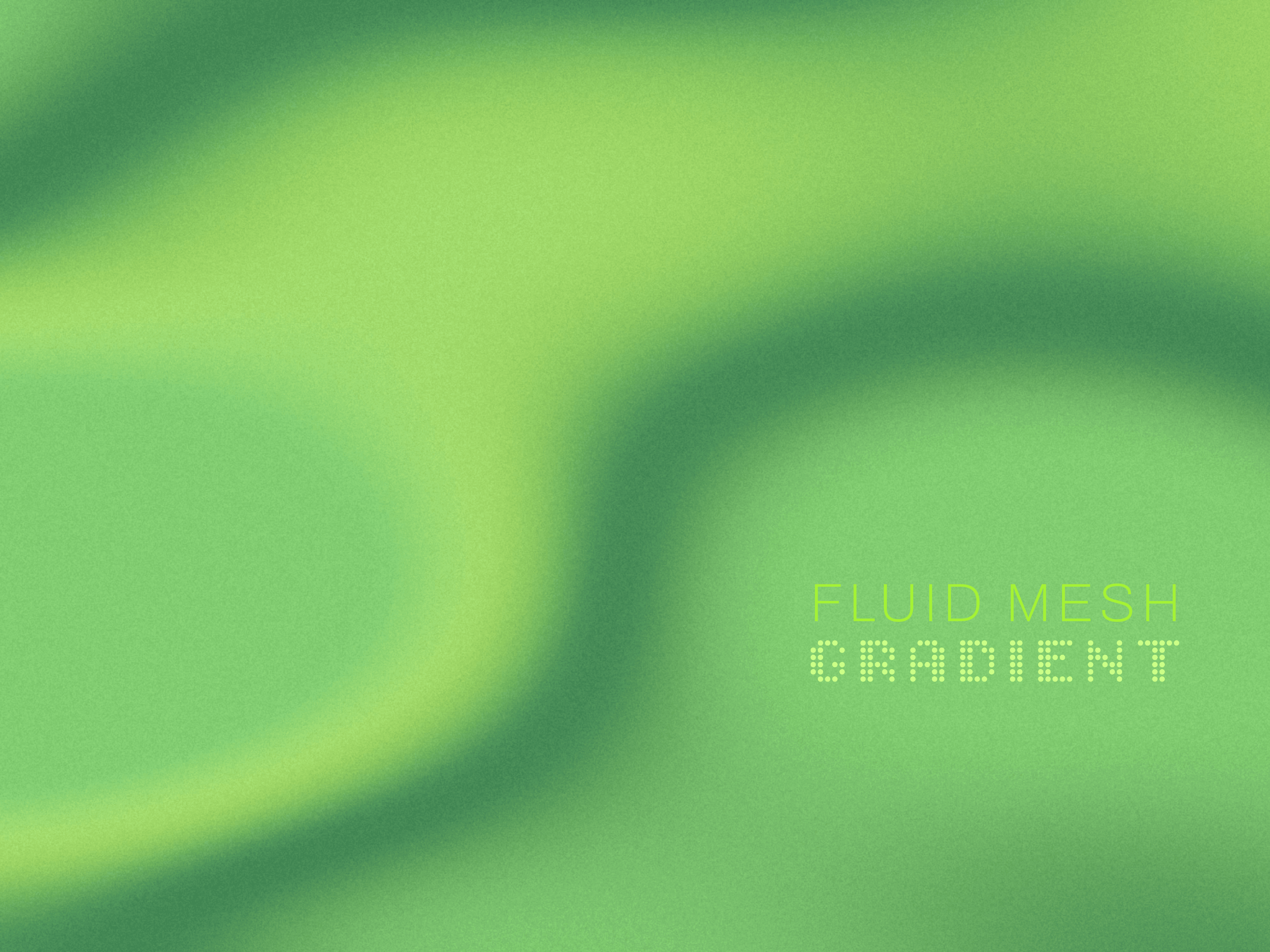 Fluid Mesh Gradient