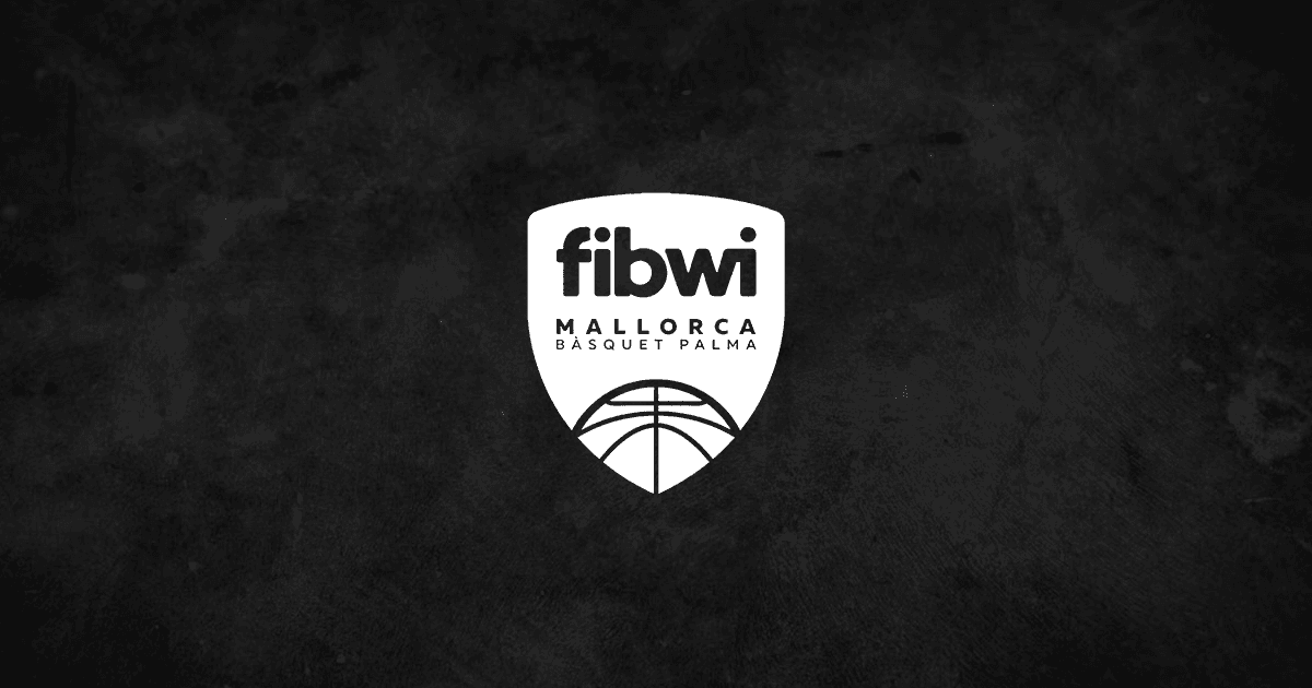 Fibwi Basket