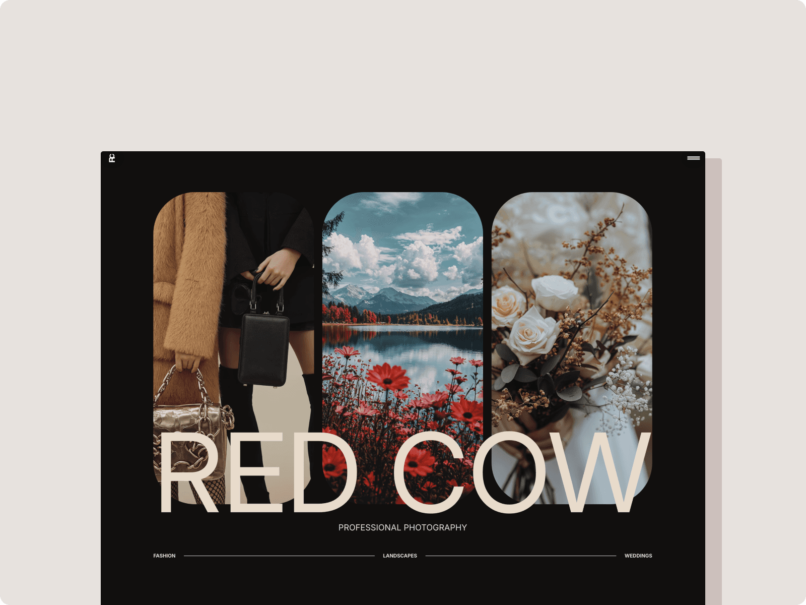 Red Cow Foto