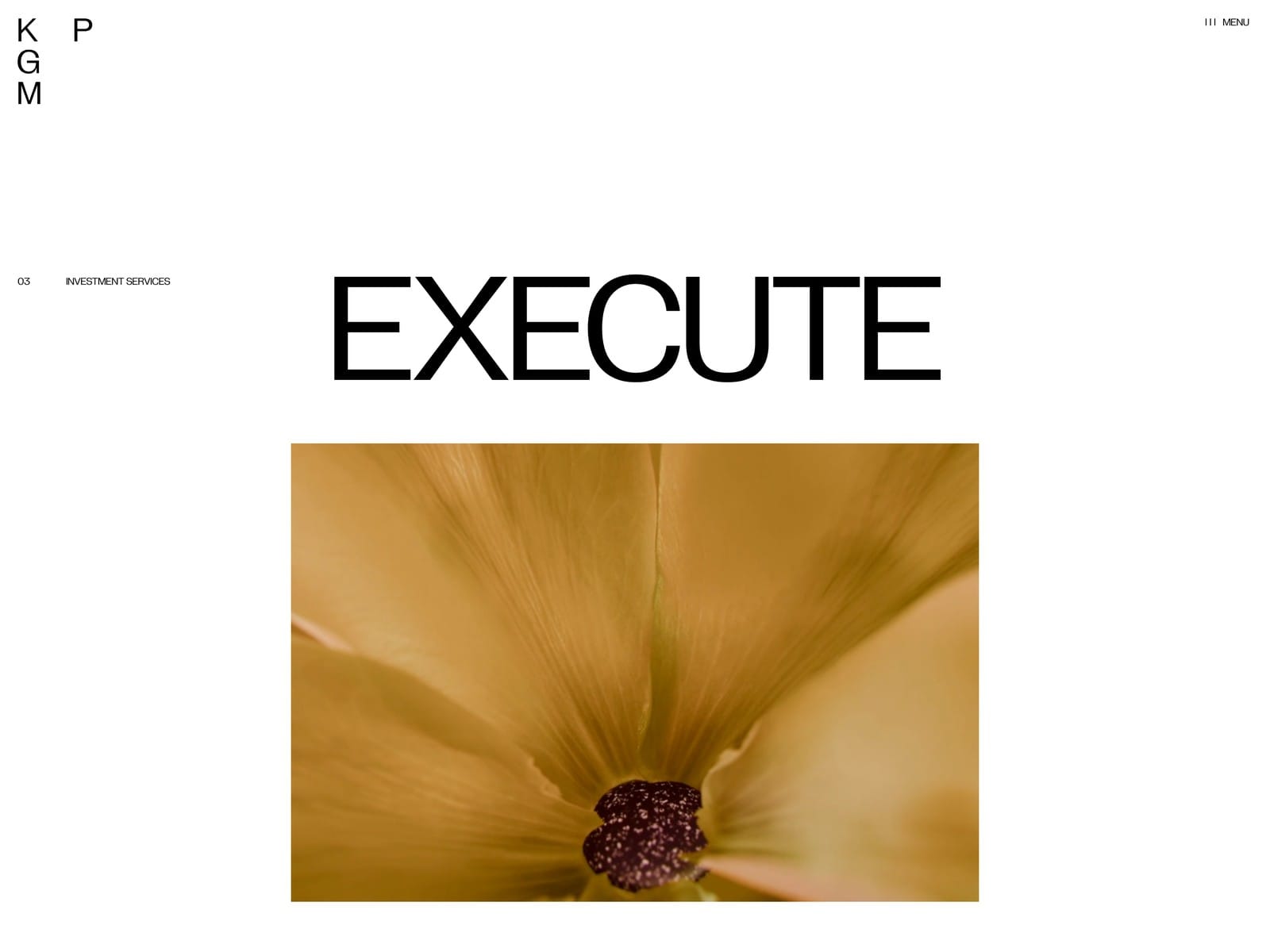 KGM Partners