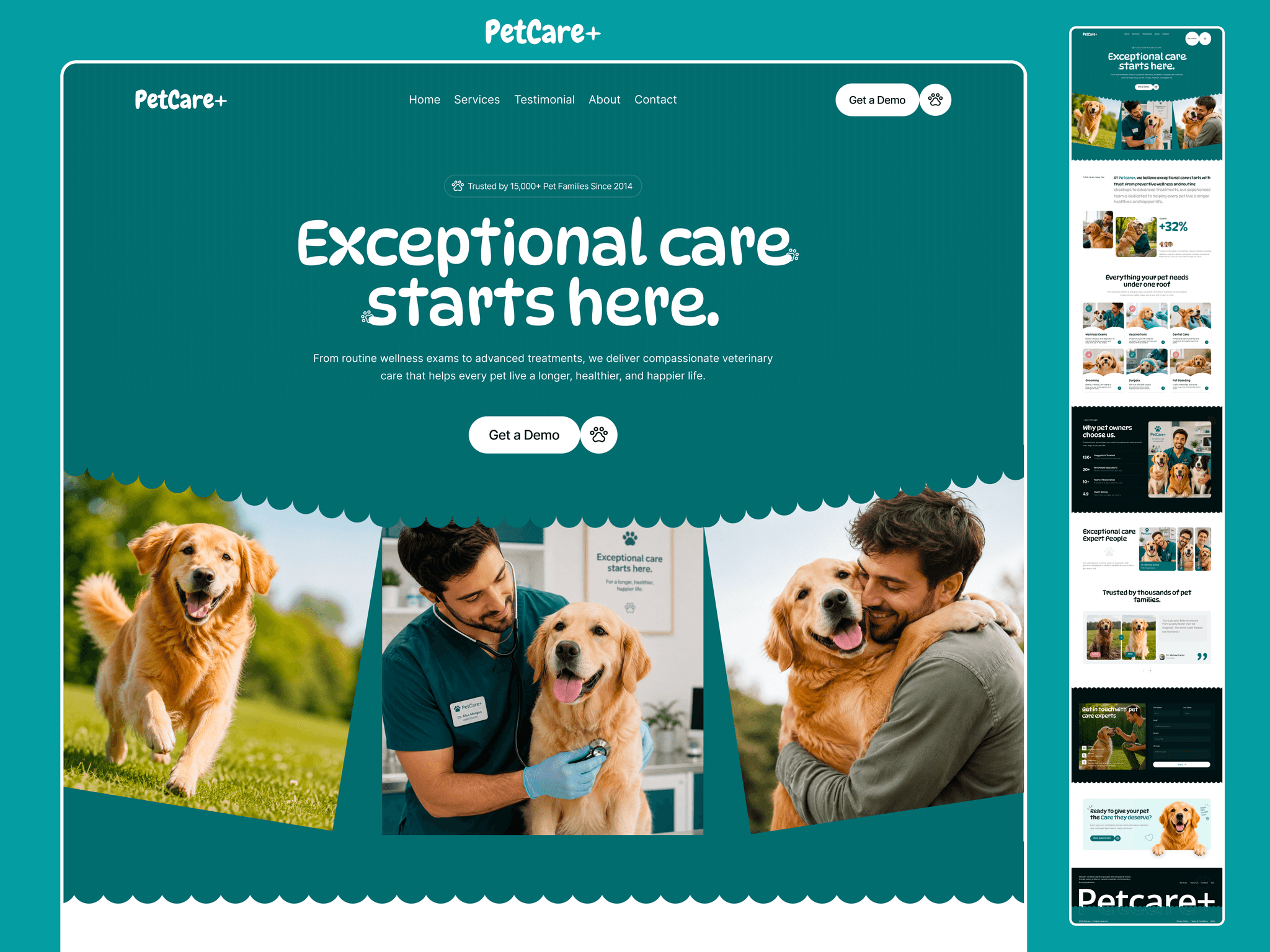 PetCare Website