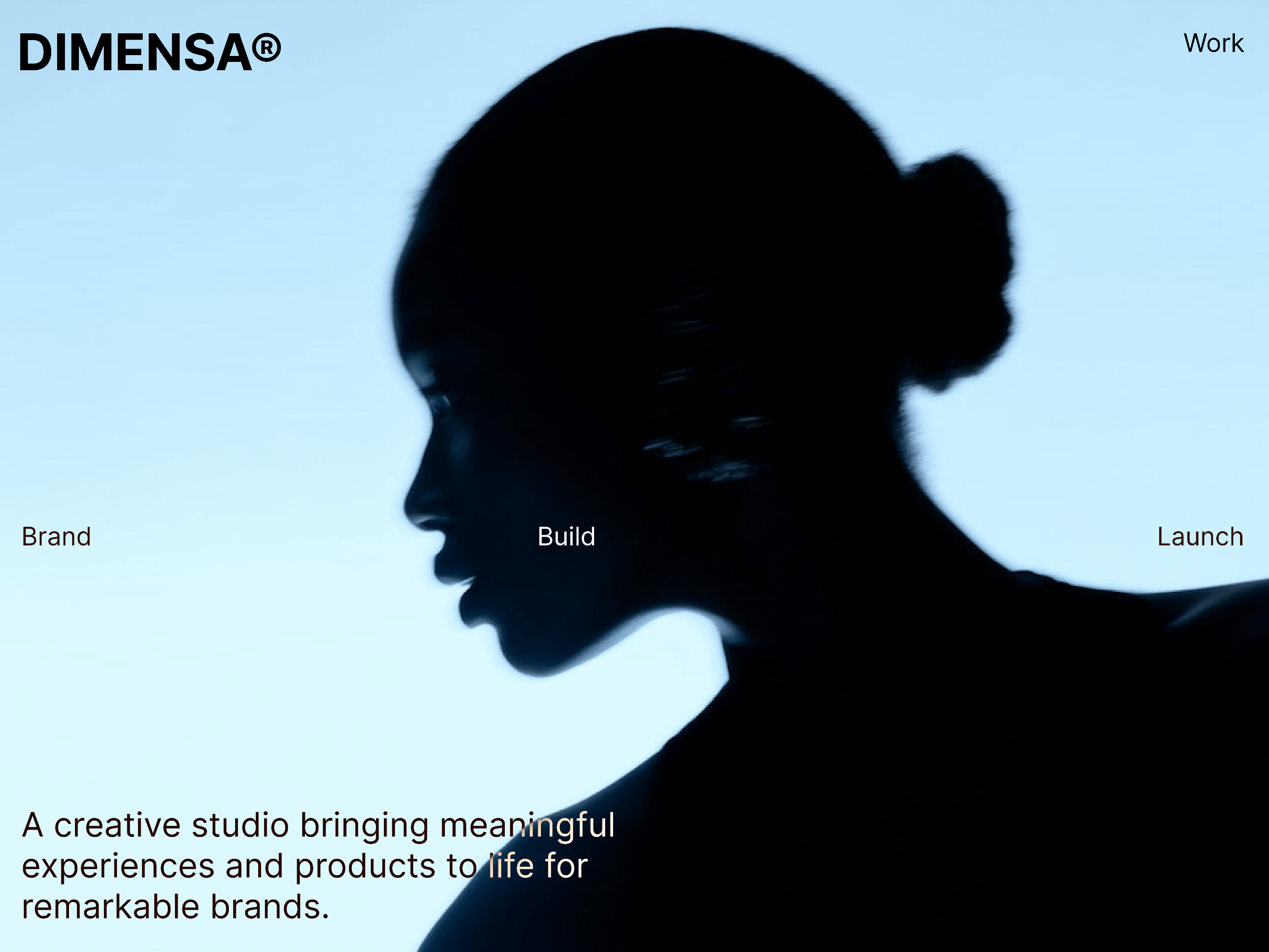 DIMENSA®