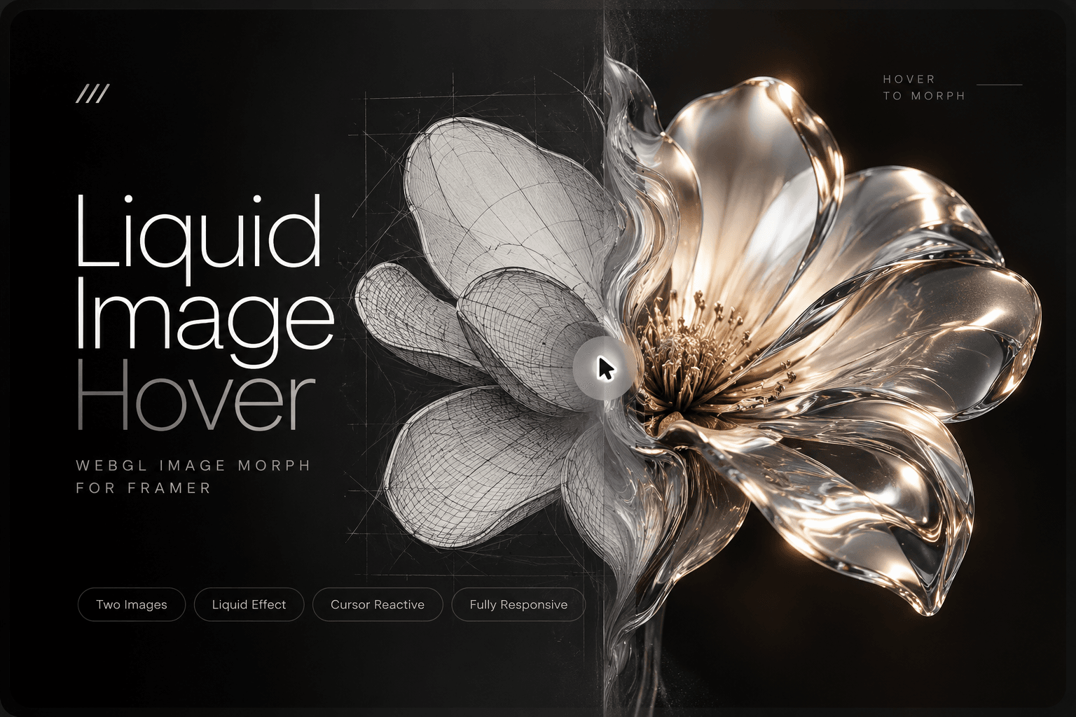 Fluid Image Morph