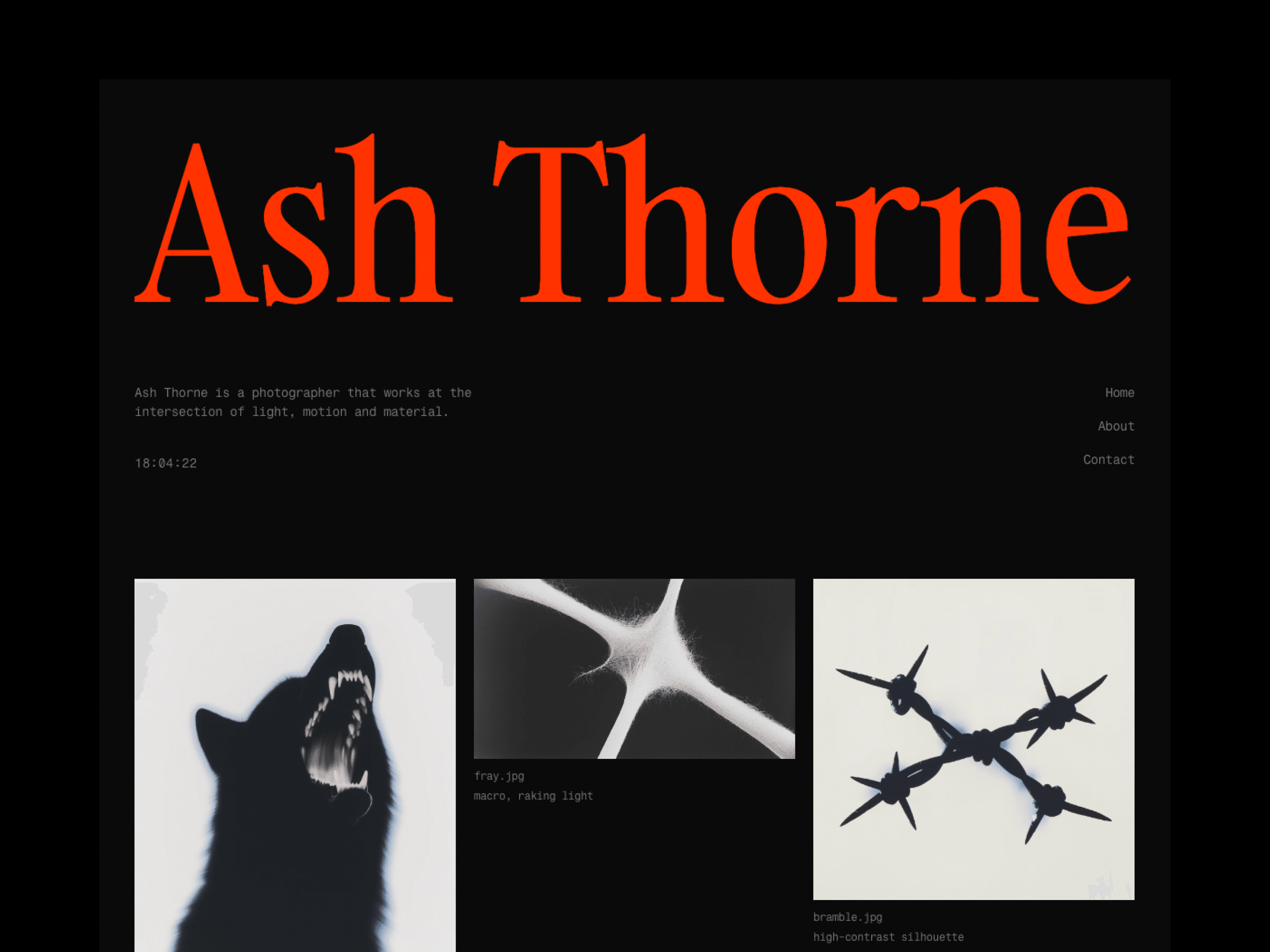 Ash Thorne