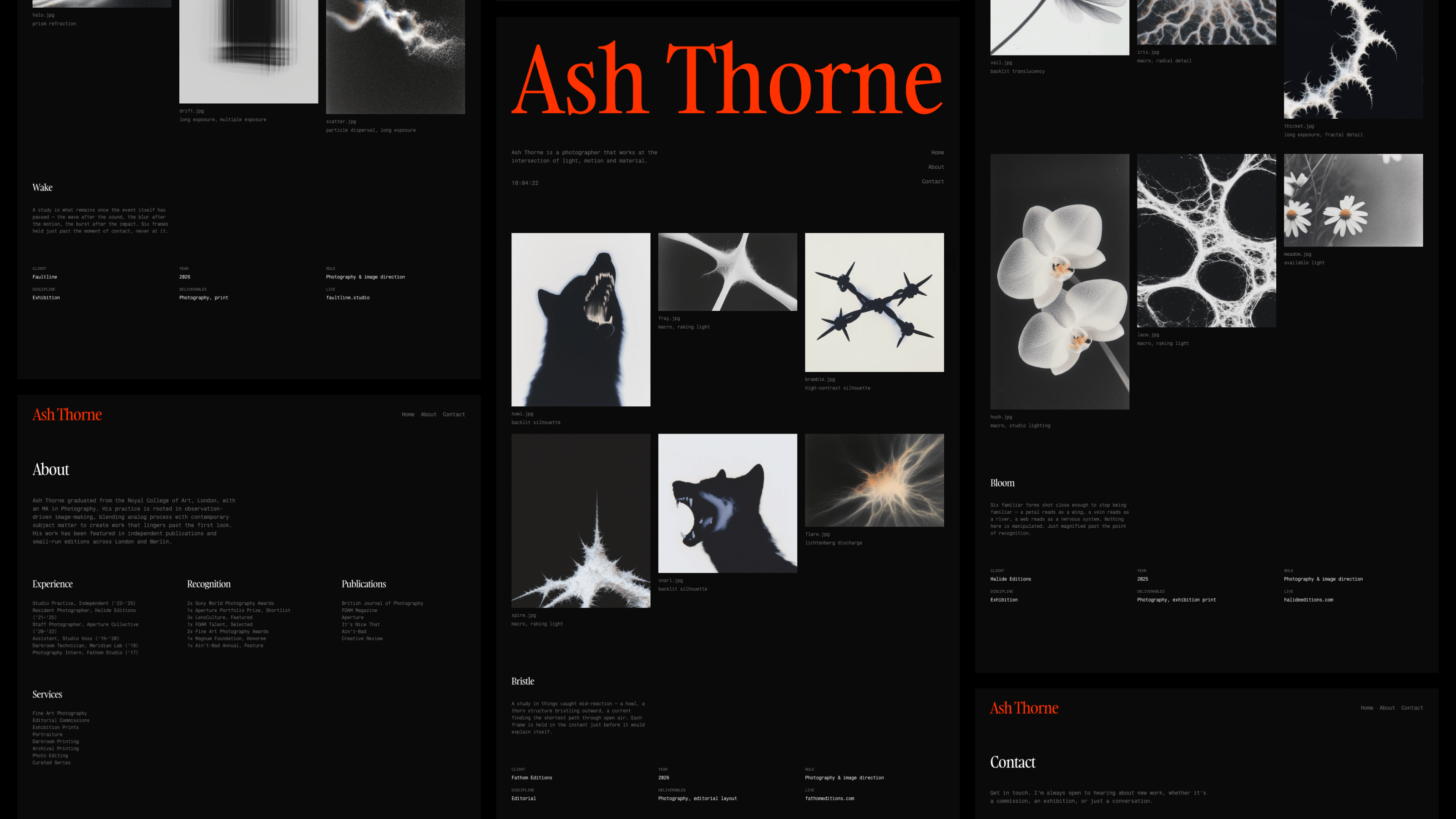 Ash Thorne is now my most-liked template. In just 6 days it generated more likes than my first ever template from almost 2 months ago.