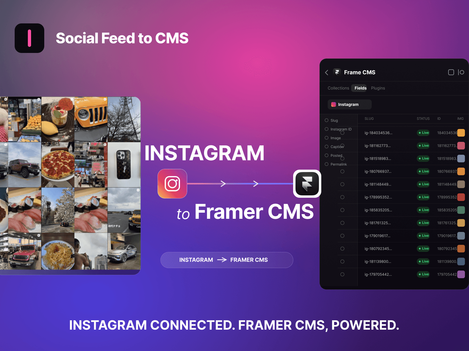 Social Feed to CMS