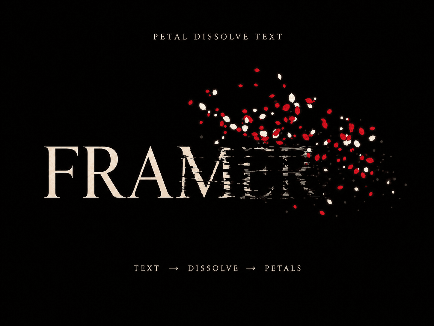 Petal Dissolve Text