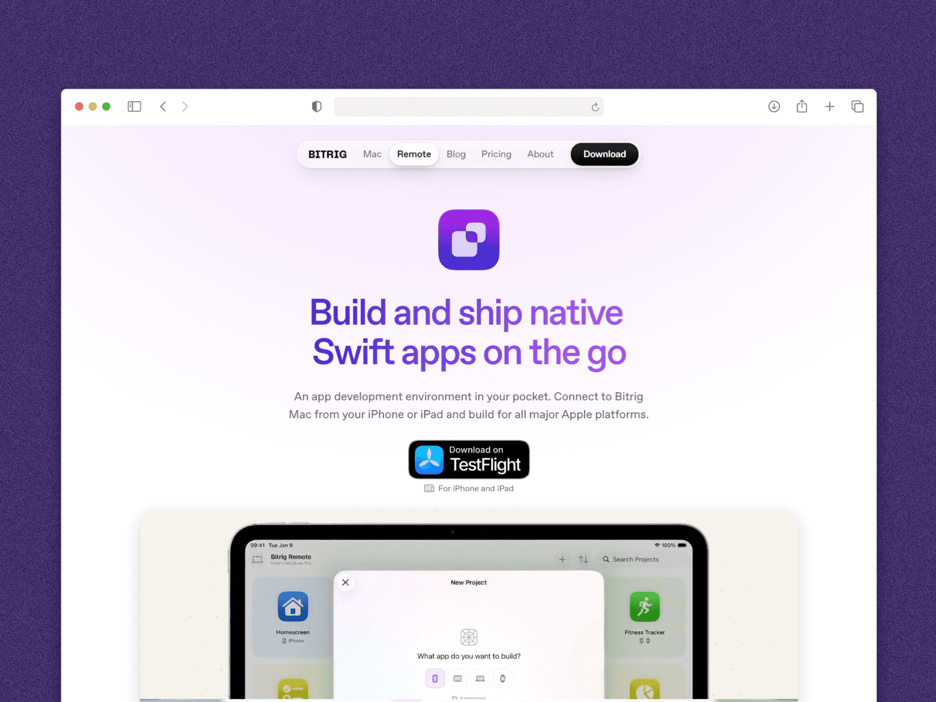 Bitrig AI