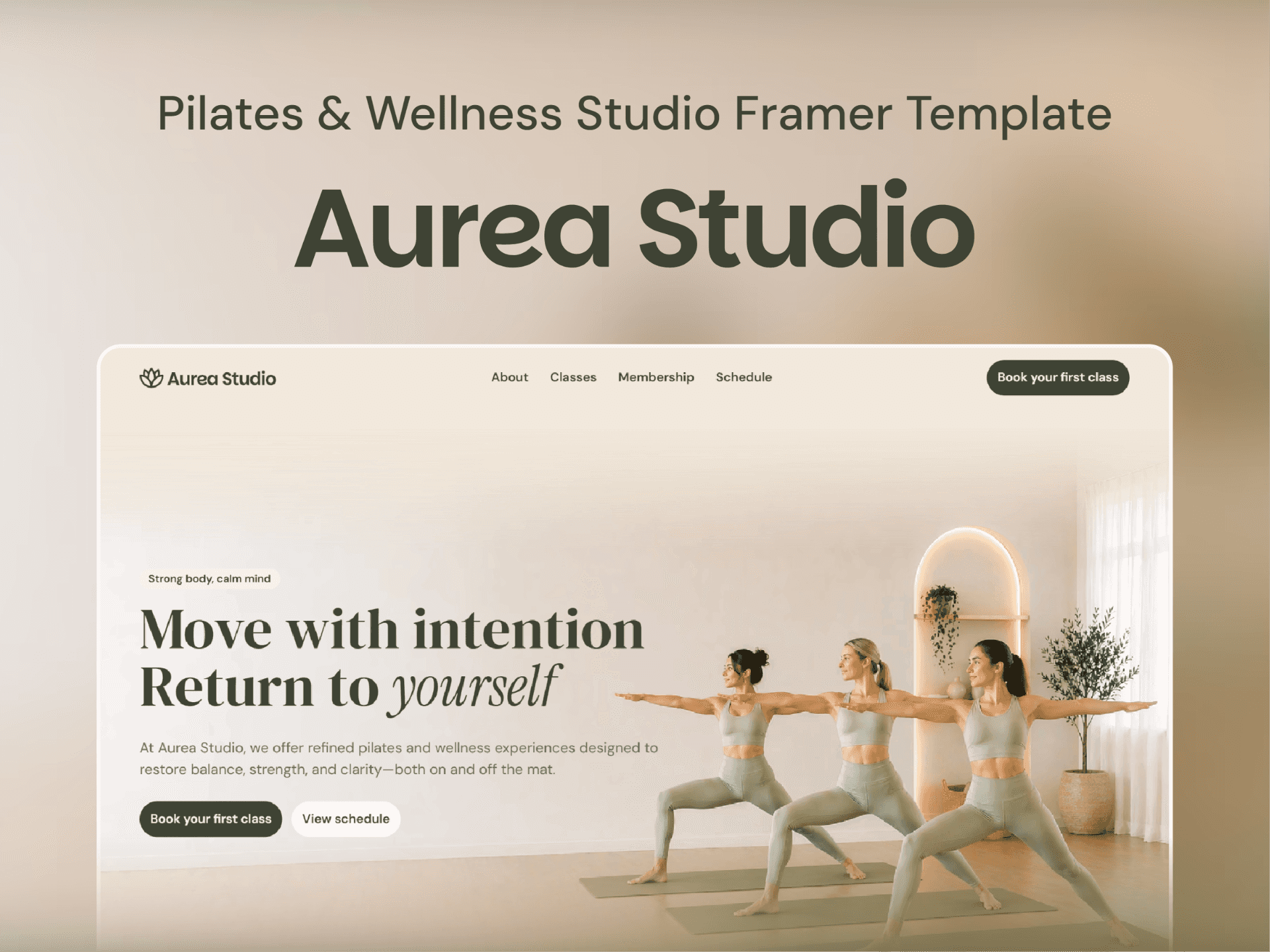 Aurea Studio