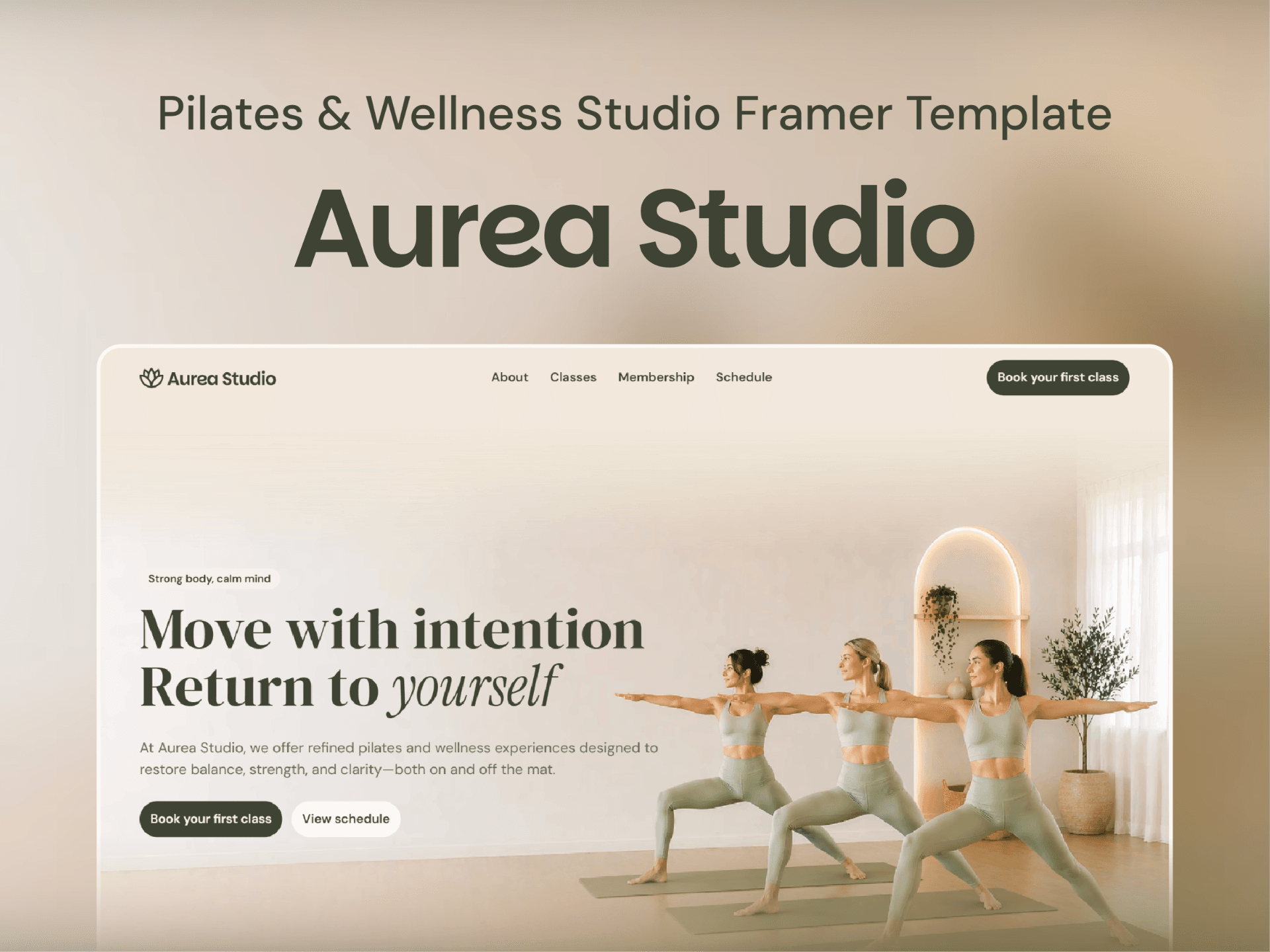 Aurea Studio