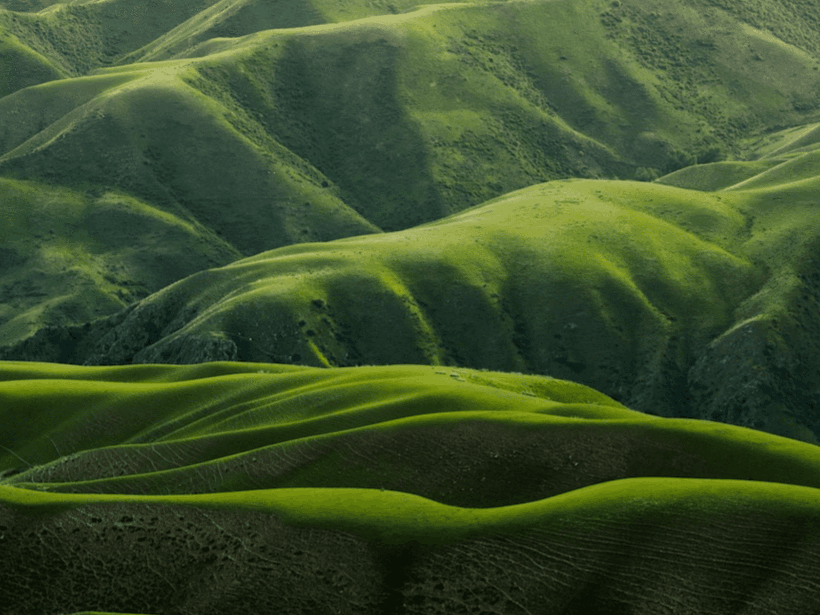 3D Vertical Slider