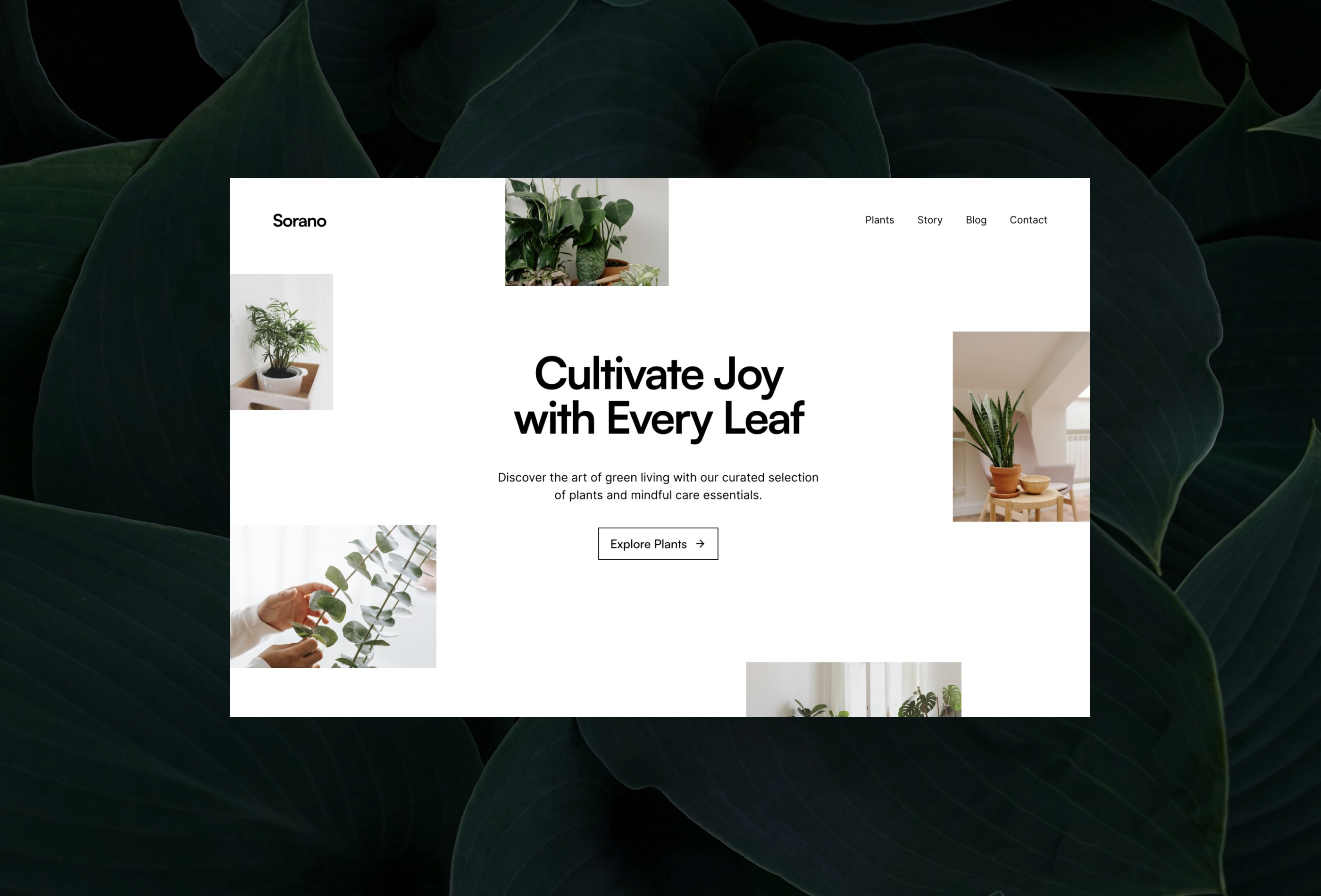Screenshot 2 for Sorano, a Framer Marketplace template by Adam Kuzma.